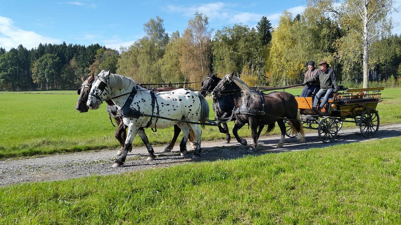Hotel Alpenhof Bad Worishofen Bagian luar foto