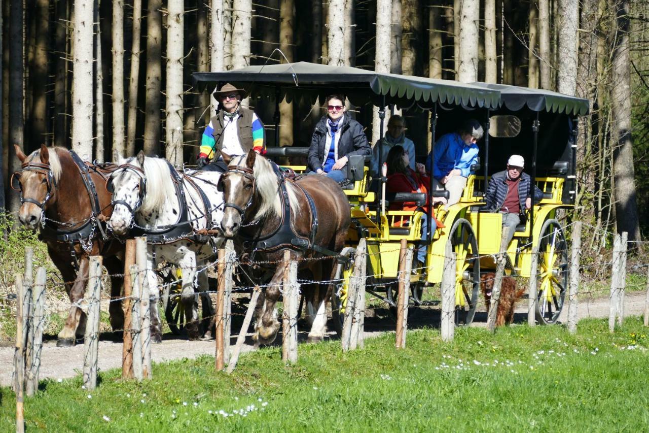 Hotel Alpenhof Bad Worishofen Bagian luar foto