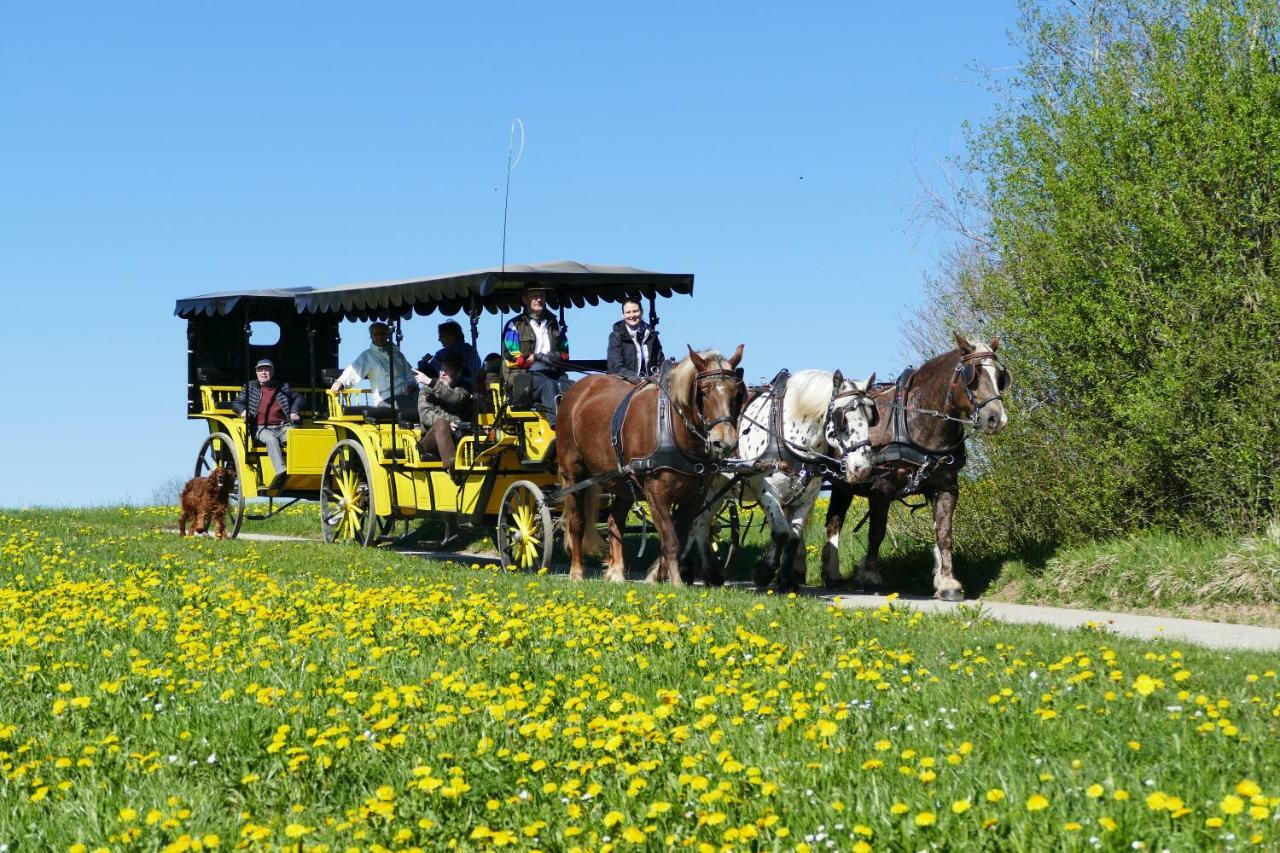 Hotel Alpenhof Bad Worishofen Bagian luar foto