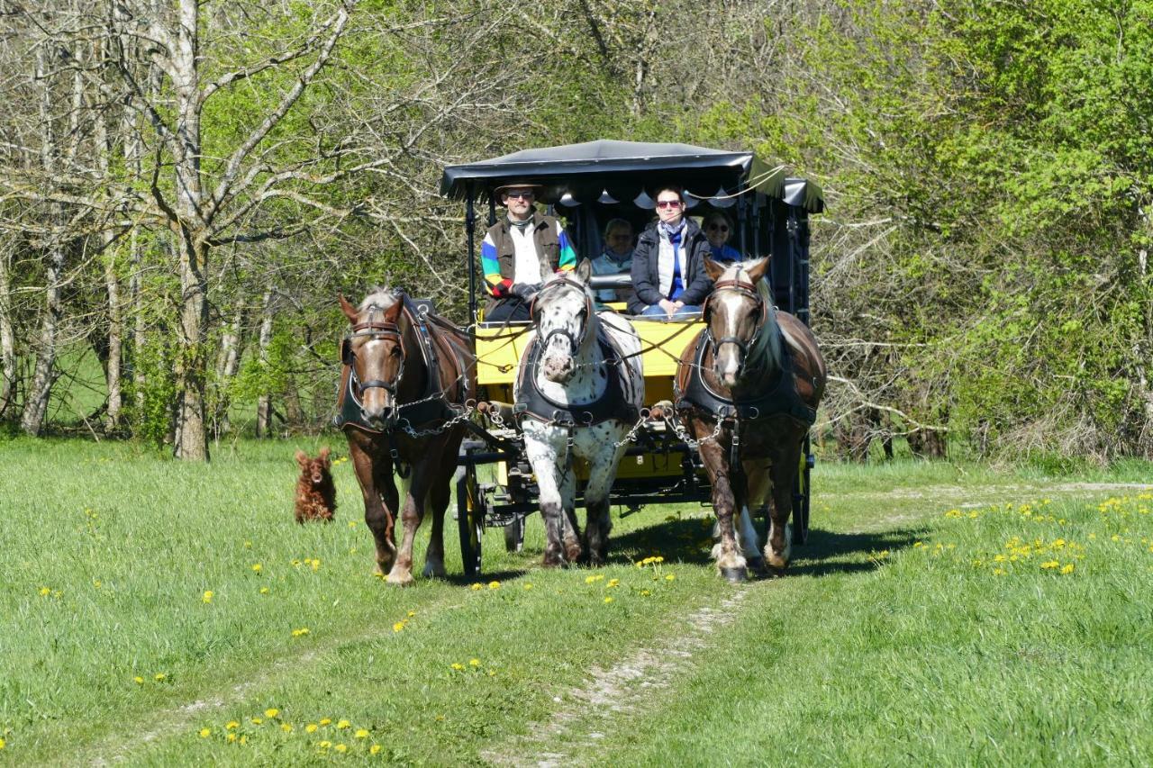 Hotel Alpenhof Bad Worishofen Bagian luar foto