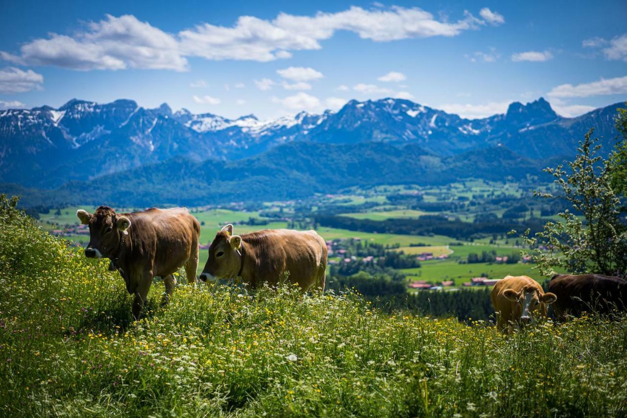 Hotel Alpenhof Bad Worishofen Bagian luar foto